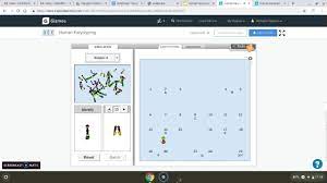 Human karyotyping lab answers key karyotype tests can only be performed during certain weeks of your pregnancy. Human Karyotyping Gizmo Youtube