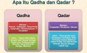 Contoh Perbedaan Qada Dan Qadar Surat R Cute766