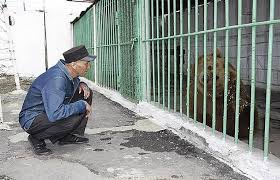Karena di sana hakim dibebaskan untuk menetapkan lebih dari 20 tahun. Kisah Beruang Kazakhstan Yang Dipenjara Seumur Hidup Kerana Melakukan Jenayah Iluminasi
