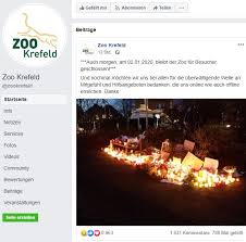 Description, opening times, attractions, entrance fees, services and all other information in english about more than 800 zoos, wildlife parks, aquaria. Feuerdrama In Krefeld Erinnert An Brand Im Karlsruher Zoo