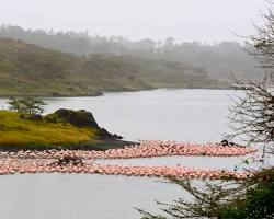 Image of Arusha National Park, Tanzania