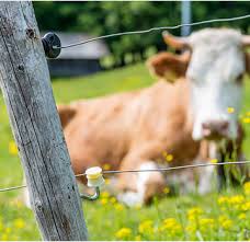 An electric fence is also. Electric Fencing Tips Southern States Co Op