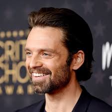 Sebastian Stan: Swept Back Medium Length Hair