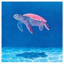 海亀 illustagram illustration イラストレーション art イラスト 日々の記録 瑞季 デジタルアート ウミガメ 亀 青 海 海の絵 blue 水面 ウミガメ イラスト 海 デザイン 海の絵