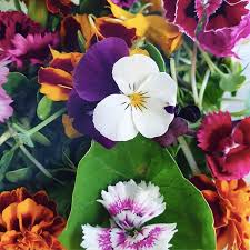 Watch your quantities when eating fireweed. Affordable Wholefoods Coffs Harbour Beautiful Edible Flowers From Twoleafgreens Colourful And Delicate Perfect To Add To Salads Drinks And Desserts Facebook