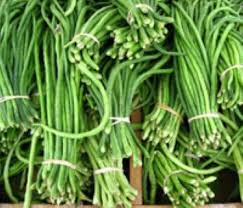 Check spelling or type a new query. Budidaya Kacang Panjang Kabupaten Bogor