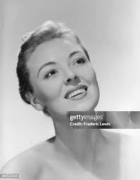 173 Meredith Lewis Stock Photos, High-Res Pictures, and Images