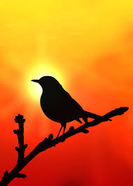 Silhouette Bird Paintings On Canvas Bird Silhouette C Bigheadkyle2 Via Deviantart Bird Silhouette Art Silhouette Painting Nature Art Painting
