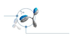 Regeneron S Covid 19 Antibody Drug Cocktail Completely Blocks Coronavirus Infection In Animal Test Covid 19 Hospimedica Com