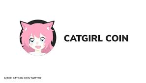 Catgirl Coin Price How To Buy Catgirl Coin All About The Newly Launched Cryptocurrency
