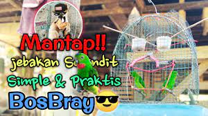 Sebenarnya tidak bisa membuat custom shortcut dengan menggunakan kombinasi tombol windows. Mantul Cara Membuat Sangkar Jebakan Burung Serindit Dari Kawat Ram Lengkap Youtube