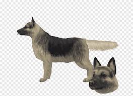 German Shepherd Saarloos Wolfdog Kunming Wolfdog Norwegian Elkhound Shiloh Shepherd Dog Carnivoran Dog Like Mammal Png Pngegg The kunming dogs are the old german shepherd dogs introduced in the 1950s. pngegg