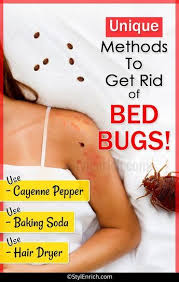 Let S See Unique Methodstogetridofbedbugs Rid Of Bed Bugs Bed Bugs Bed Bugs Infestation