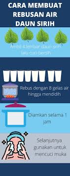 Daun sirih mujarab merawat jerawat. Daun Sirih Untuk Mengatasi Jerawat Sulis Nashwa Kirana Lifestyle Blogger