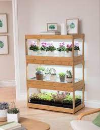 How To Grow Cyclamen Gardener S Supply Grow Lights For Plants Indoor Greenhouse Led Grow Lights