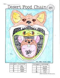 Math Facts Math Facts Food Chain Elementary Science