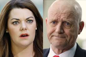 David Leyonhjelm struggling to find colleague support in Sarah Hanson-Young  defamation case