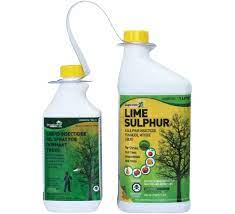 When to spray dormant oil on fruit trees. Spray In Spring For Healthy Fruit Laidback Gardener