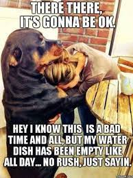 It S Gonna Be Okay Meme By Sexydazy Memedroid