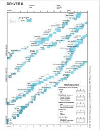 Child Development Assessment Developmental Milestones And