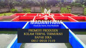 Promo Wa Hp 0857 9959 7519 Terpal Mobil Pick Up Grand Max Surabaya Terpal Meteran Terpal Malang Kolam