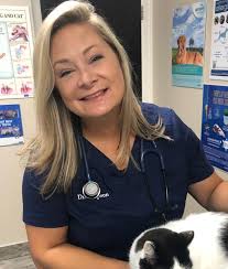 Experienced Veterinarians