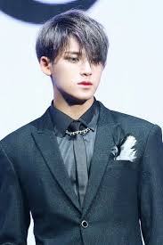 Pin de Vince Obusan en Mingyu | Corte de pelo coreano, Pelo ...