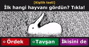 Kisilik Testi Resimde Ilk Gordugun Hayvan Hangisi 2020 Kisilik Testleri Kisilik Hayvan