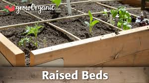 East facing gardens and raised beds receive sun in the morning and then are. How To Grow Organic Vegetables In Raised Beds Youtube