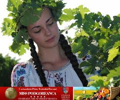 Festivalul vinului din pologi la inițiativa autorităților raionale se desfășoară pentru a doua oară. Festivalul Bachus La A 19 A Editie Vinul Ro