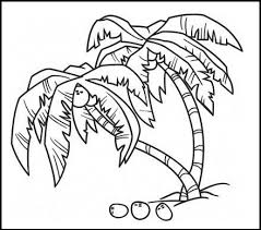 100% free fruit coloring pages. Coconut Tree Coloring Page Tree Coloring Page Coconut Tree Drawing Coloring Pages