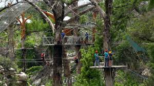 They let you zipline between treehouses. Take On The Texas Treehouse Zipline
