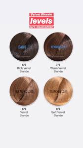 Free shipping on orders over $25 shipped by amazon. Laquinne Non Bleach Hair Dye Sample Hair Dark To Facebook