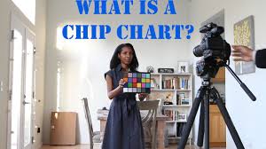 What Is A Chip Chart Dailyguild 004