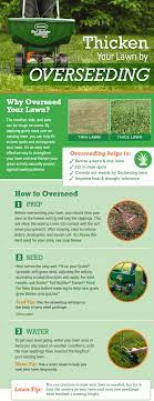Lawn Overseeding Best Practices How To Get A Thick Lawn In 2021 Overseeding Summer Lawn Care Spring Lawn Care
