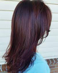 50 Mahogany Hair Color Ideas With Various Shades Highlights Mahogany Hair Hair Color Mahogany Elumen Hair Color