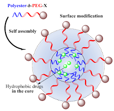 The simplest method to pegylate proteins, which are rich in surface primary amines, is to use a peg compound that contains an nhs ester group at one end. Polyester Pegs