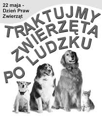 Dorian, emil, fulko, helena, jan, julia, krzesisława, marcjan, roman, ryta, wiesław, wiesława i wisława. 22 Maja Obchodzimy Dzien Praw Zwierzat F7dobry