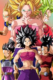 Vegeta vs the saiyan of universe 6. Universe 6 Saiyans Dragon Ball Super Goku Dragon Ball Z Anime Dragon Ball