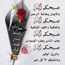 صورصباح الخير رومانسيه 2019 صور صباح الخير للحبيب frases de amor com imagens frases de amor frases