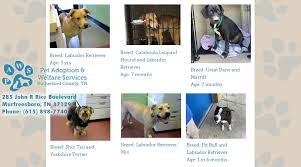 We are committed to finding responsible homes, controlling pet overpopulation, & promoting the humane treatment of animals. Tennessee Has An 81 94 Save Rate For Shelter Pets Wgns Radio
