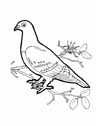 These bird coloring pages for kids aim to teach kids through an interactive and interesting coloring medium. Coloring Pages Birds Coloring Home
