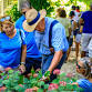 Hydrangea Winter Protection Strategies Workshop event image