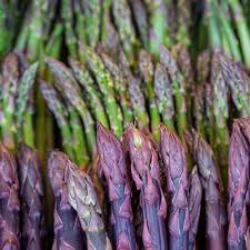 Image result for Asparagus buchananii
