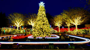 The gardens are meant to inspire and educate visitors, which is accomplished by showcasing flora, fauna and natural resources in motivational surroundings that promote environmentally friendly techniques. Holiday Lights At The Florida Botanical Gardens 2019 St Petersburg Clearwater Fl Dec 7 2019 5 00 Pm