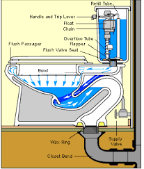 How the dual flush toilet handles waste. How A Toilet Works Toilet Plumbing Diagrams Hometips