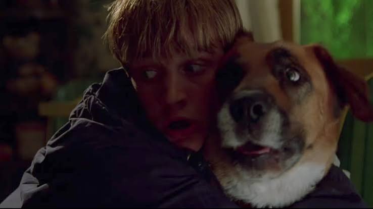 IDLE HANDS (1999) is a slacker horror/comedy with surprisingly okay horror.  Too bad the comedy is abysmal. | by Eric Langberg | Everything's  Interesting | Medium
