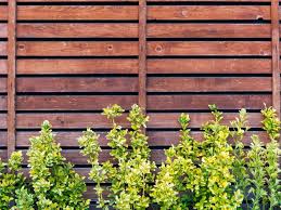 images?q=tbn:ANd9GcSxtAhKCZAa5AW8Add9K6q5YPd_3fQ7wcknKw&s