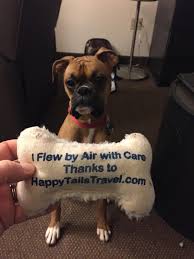Happy tails values the life of every cat and dog by providing compassionate care and. Pet Travel Testimonials Pet Shipping Reviews Happy Tails Travel