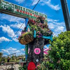 The safety of our teams and our customers has to come first. Billingsley S Garden Center Home Facebook